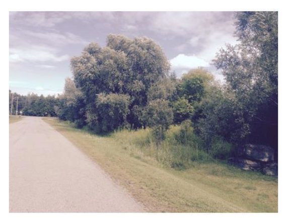 http://cdn.canadapropertylisting.com//Property/medium/3/2016/3/21/land-for-sale-5247670711749452145.jpg