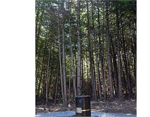 http://cdn.canadapropertylisting.com//Property/medium/3/2016/3/21/land-for-sale-5247670711755002700.jpg