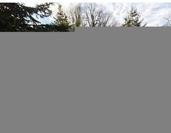 http://cdn.canadapropertylisting.com//Property/medium/3/2016/3/21/land-for-sale-5247670711765373737.jpg