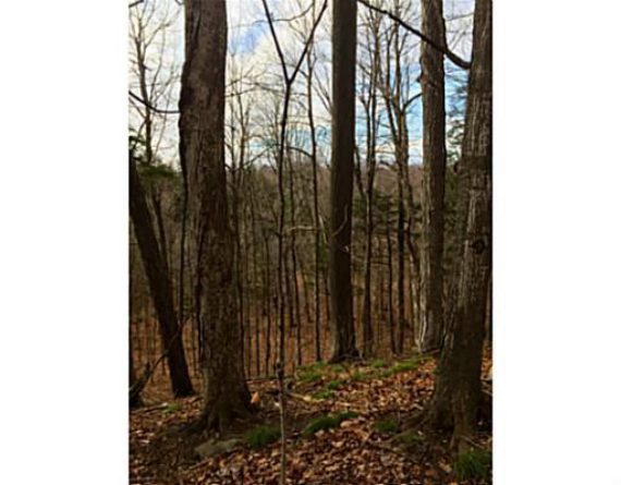 http://cdn.canadapropertylisting.com//Property/medium/3/2016/3/21/land-for-sale-5247670711765393739.jpg