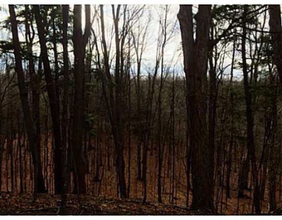 http://cdn.canadapropertylisting.com//Property/medium/3/2016/3/21/land-for-sale-5247670711765423742.jpg