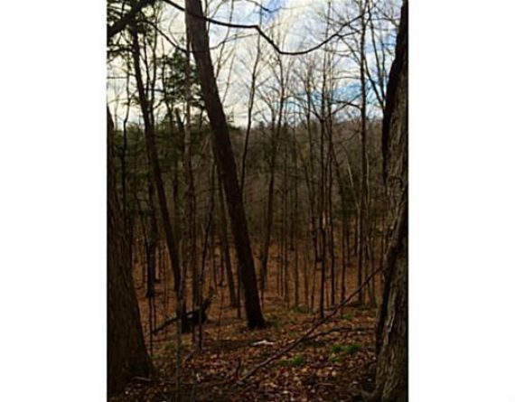 http://cdn.canadapropertylisting.com//Property/medium/3/2016/3/21/land-for-sale-5247670711765443744.jpg