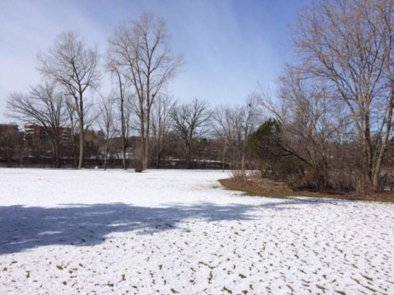 http://cdn.canadapropertylisting.com//Property/medium/3/2016/3/26/2-bedroom-single-family-property-for-sale-5247670711900957294.jpg