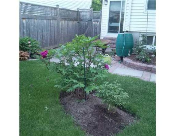 http://cdn.canadapropertylisting.com//Property/medium/3/2016/3/31/3-bedroom-single-family-property-for-sale-5247670711917158914.jpg