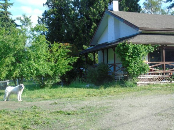 http://cdn.canadapropertylisting.com//Property/medium/3/2016/7/28/4-bedroom-property-for-sale-5247738976295008267.jpg