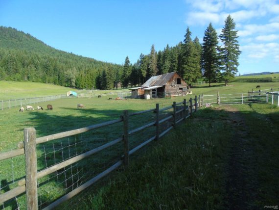 http://cdn.canadapropertylisting.com//Property/medium/3/2016/7/28/4-bedroom-property-for-sale-5247738976295668304.jpg