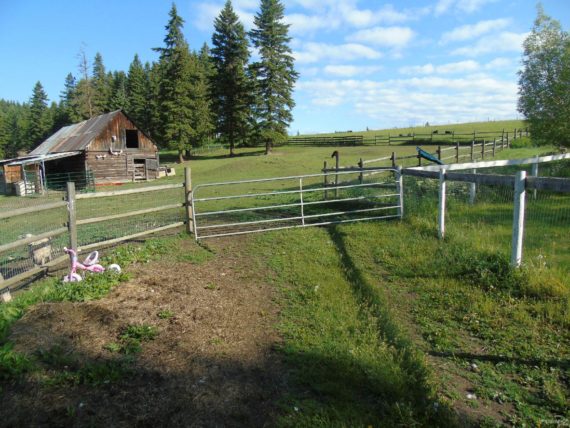 http://cdn.canadapropertylisting.com//Property/medium/3/2016/7/28/4-bedroom-property-for-sale-5247738976295898318.jpg