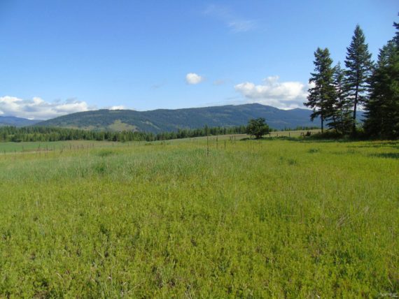 http://cdn.canadapropertylisting.com//Property/medium/3/2016/7/28/4-bedroom-property-for-sale-5247738976296548355.jpg