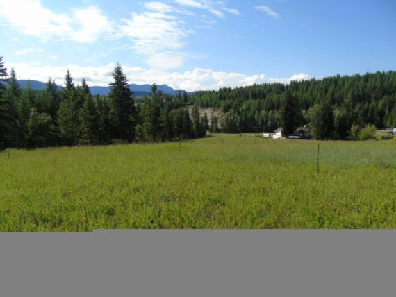 http://cdn.canadapropertylisting.com//Property/medium/3/2016/7/28/4-bedroom-property-for-sale-5247738976296798369.jpg