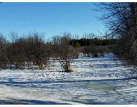 0 Bedroom Land For Sale in Pt L18 SCRIVENS DRIVE, Ottawa, Ontario K0A2P0